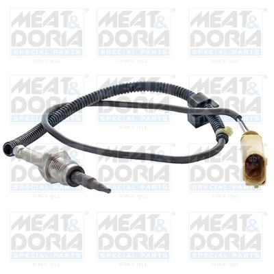 Sensor, exhaust gas temperature